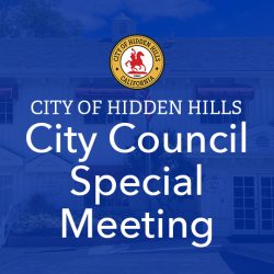 City Council Special Meeting 2-16-25