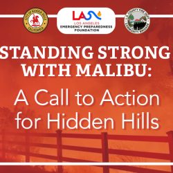 Standing Strong with Malibu: A Call to Action for Hidden Hills