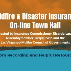 Wildfire and Disaster Insurance Online Town Hall – Event Resources