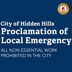 Proclamation of Local Emergency